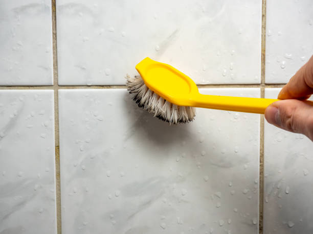Best Professional Mold Removal  in Washington, NJ