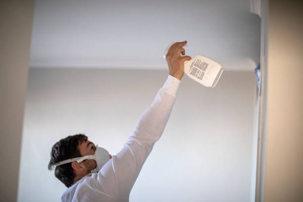 Best Mold Damage Repair  in Washington, NJ