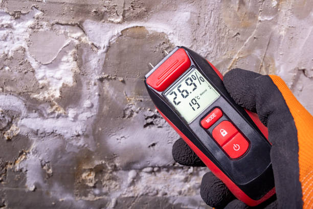 Best Mold Removal Specialists  in Washington, NJ