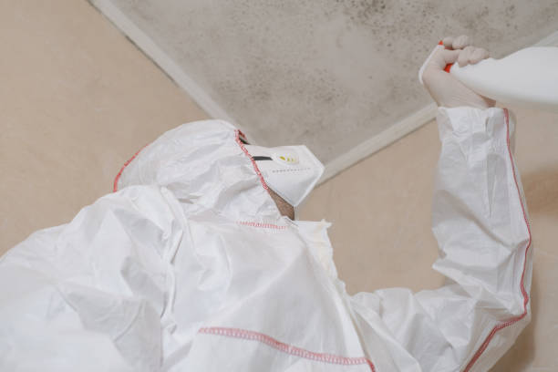 Best Professional Mold Removal  in Washington, NJ