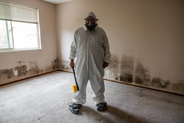 Best Fast Mold Removal  in Washington, NJ