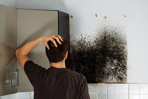 Best Residential Mold Removal  in Washington, NJ